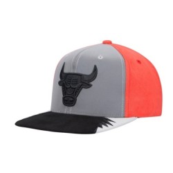 Men's Mitchell & Ness Gray/Red Chicago Bulls Day 5 Snapback Hat