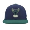 Men's Mitchell & Ness Navy/Green Chicago Bulls 40th Anniversary Hardwood Classics Grassland Fitted Hat