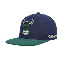 Men's Mitchell & Ness Navy/Green Chicago Bulls 40th Anniversary Hardwood Classics Grassland Fitted Hat