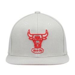 Men's Mitchell & Ness Gray Chicago Bulls Hardwood Classics Tonal Snapback Hat