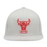 Men's Mitchell & Ness Gray Chicago Bulls Hardwood Classics Tonal Snapback Hat