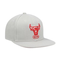 Men's Mitchell & Ness Gray Chicago Bulls Hardwood Classics Tonal Snapback Hat