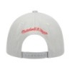 Men's Mitchell & Ness Gray Chicago Bulls Hardwood Classics Tonal Snapback Hat