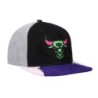 Men's Mitchell & Ness Black/Pink Chicago Bulls Day 5 Snapback Hat