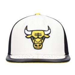 Men's Mitchell & Ness White Chicago Bulls Day One Snapback Hat