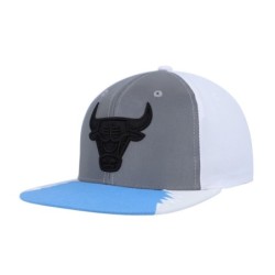 Men's Mitchell & Ness Silver/Blue Chicago Bulls Day 5 Snapback Hat