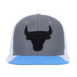 Men's Mitchell & Ness Silver/Blue Chicago Bulls Day 5 Snapback Hat