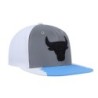 Men's Mitchell & Ness Silver/Blue Chicago Bulls Day 5 Snapback Hat