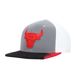 Men's Mitchell & Ness Gray/White Chicago Bulls Day 5 Snapback Hat