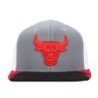 Men's Mitchell & Ness Gray/White Chicago Bulls Day 5 Snapback Hat