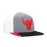 Men's Mitchell & Ness Gray/White Chicago Bulls Day 5 Snapback Hat