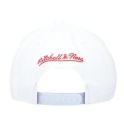 Men's Mitchell & Ness Gray/White Chicago Bulls Day 5 Snapback Hat