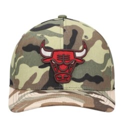 Men's Mitchell & Ness Camo Chicago Bulls Woodland Desert Snapback Hat