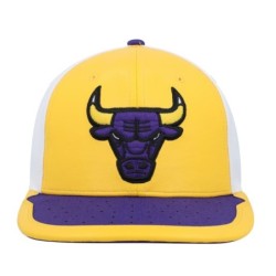 Men's Mitchell & Ness Yellow/Purple Chicago Bulls Day One Snapback Hat