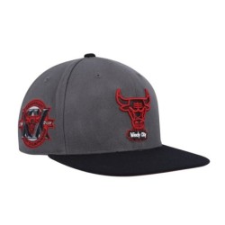 Men's Mitchell & Ness Gray Chicago Bulls Hardwood Classics Born & Bred Fitted Hat