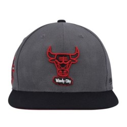 Men's Mitchell & Ness Gray Chicago Bulls Hardwood Classics Born & Bred Fitted Hat