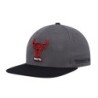 Men's Mitchell & Ness Gray Chicago Bulls Hardwood Classics Born & Bred Fitted Hat