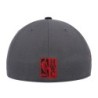 Men's Mitchell & Ness Gray Chicago Bulls Hardwood Classics Born & Bred Fitted Hat