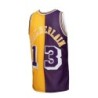 Men's Purple/Gold Los Angeles Lakers Hardwood Classics 1971/72 Split Swingman Jersey