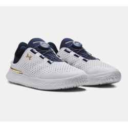 Unisex UA SlipSpeed™ Platinum Trimmed Training Shoes