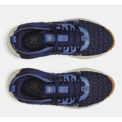 Men's Project Rock 6 Blue Training Shoe