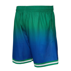 Dallas Mavericks 1998/99 Hardwood Classics Fadeaway Reload 3.0 Swingman Shorts