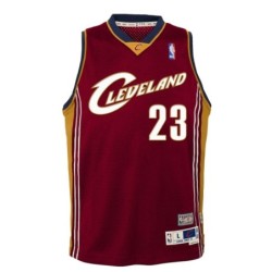 Cleveland Cavaliers LeBron James 2003-04 Hardwood Classics Swingman Jersey - Red Youth