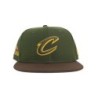 LC Green Forest City Fitted Hat