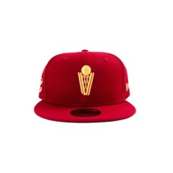 V Net burgundy snap back hat