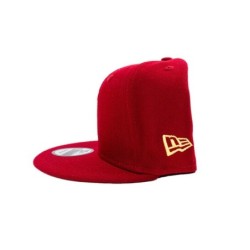 V Net burgundy snap back hat