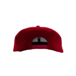 V Net burgundy snap back hat