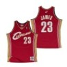 Cleveland Cavaliers LeBron James 2003-04 Hardwood Classics Road Swingman Jersey