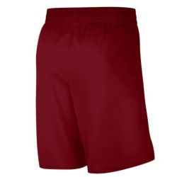 Cleveland Cavaliers Nike Icon Swingman Shorts