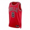 YOUTH CHICAGO BULLS ZACH LAVINE NIKE ICON SWINGMAN JERSEY