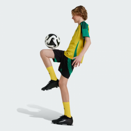 Kids Unisex • FootballMAILLOT DOMICILE JAMAÏQUE 24 ENFANTS