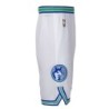 Minnesota Timberwolves Nike Hardwood Classic Edition Swingman Shorts