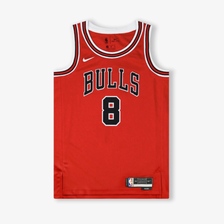 ZACH LAVINE CHICAGO BULLS ICON EDITION SWINGMAN JERSEY - RED