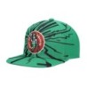 Men's Mitchell & Ness Boston Celtics Hardwood Classics Earthquake Kelly Green Snapback Hat