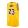 Los Angeles Lakers Nike Icon Swingman Jersey - Gold - LeBron James