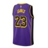 Los Angeles Lakers Jordan Statement Edition Swingman Jersey - Purple - Lebron James - Unisex